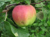 IMG_5833.JPG