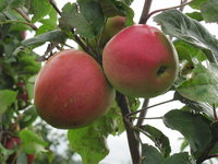 IMG_5835.JPG