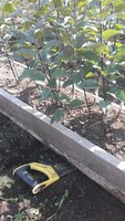 20170906_151811.jpg