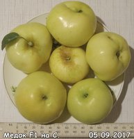 Одно яблоко уже съел