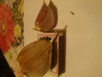 1505242179431-863111528.jpg