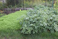 IMG_0053.jpg