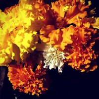 IMG-20170712-WA0002.jpg
