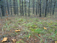 copDSC05938.jpg