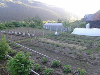 20150612_192022.jpg