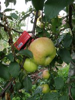 IMG_20170911_113554.jpg