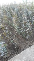 20170917_145354.jpg