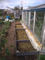 IMG_20170917_130439.jpg