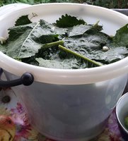 20170916_140903-1.jpg