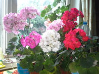 20170804_125935.jpg