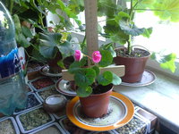 20170702_095835.jpg