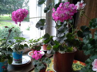 20170707_095102.jpg
