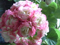20170819_094609.jpg