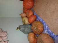IMG_5867.JPG