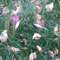 20170919_145821-1.jpg