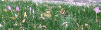 20170919_145849-1-1.jpg