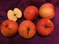 IMG_4536.JPG