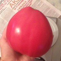 image.jpeg