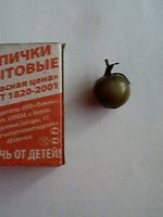 IMG00202.jpg