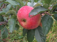 IMG_8474.JPG