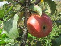 IMG_8539.JPG