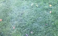 IMG_3466.JPG
