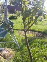 IMG00224.jpg