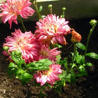 IMG_4824.JPG