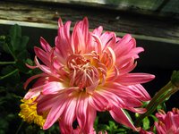 IMG_4834.JPG