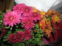 IMG_1582.JPG
