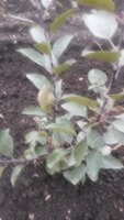 20170925_100143.jpg