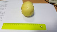 Подарок Исаева 1.jpg
