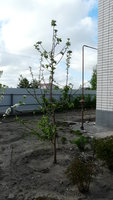 P1090079.JPG