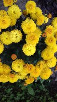 20170919_180324.jpg