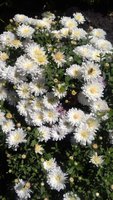 20170925_122008_resized.jpg
