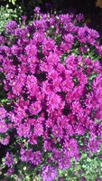 20170925_122014_resized.jpg