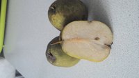 IMG_20170926_131412_980.jpg