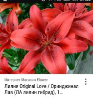 IMG_20170926_215245_533.jpg