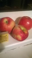 WP_20170926_003.jpg