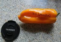 Зазноба
