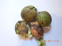 DSCN6221.JPG