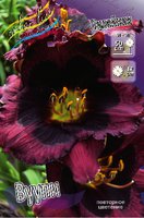 420. Лилейник Whoopy 1,67<br />примерно 126р