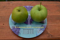 баш.изум.jpg
