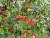 DSC05302-03.jpg