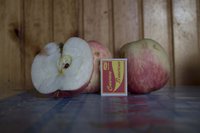 IMG_1188.jpg
