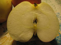 09.JPG