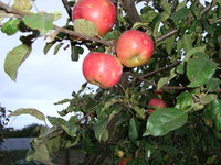 DSC00894.JPG