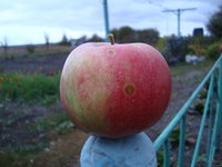 DSC00912.JPG