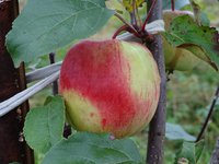 DSC03063.jpg