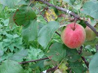 DSC03067.JPG